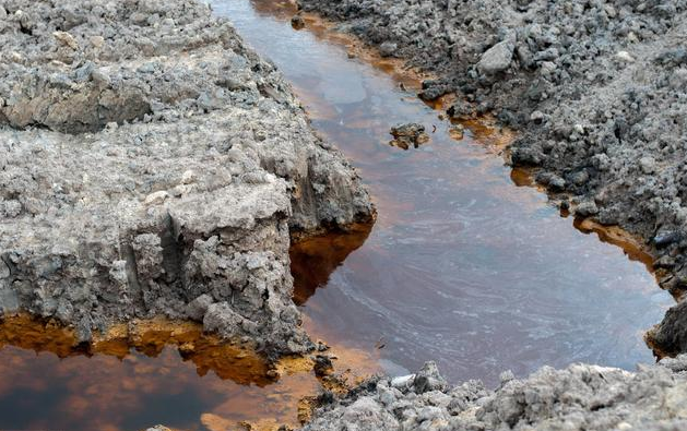 守护舌尖安全，从源头精准检测砷、汞--北京宝德仪器：打响土壤砷、汞检测的“源头保卫战”